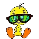 Gif Titi lunettes